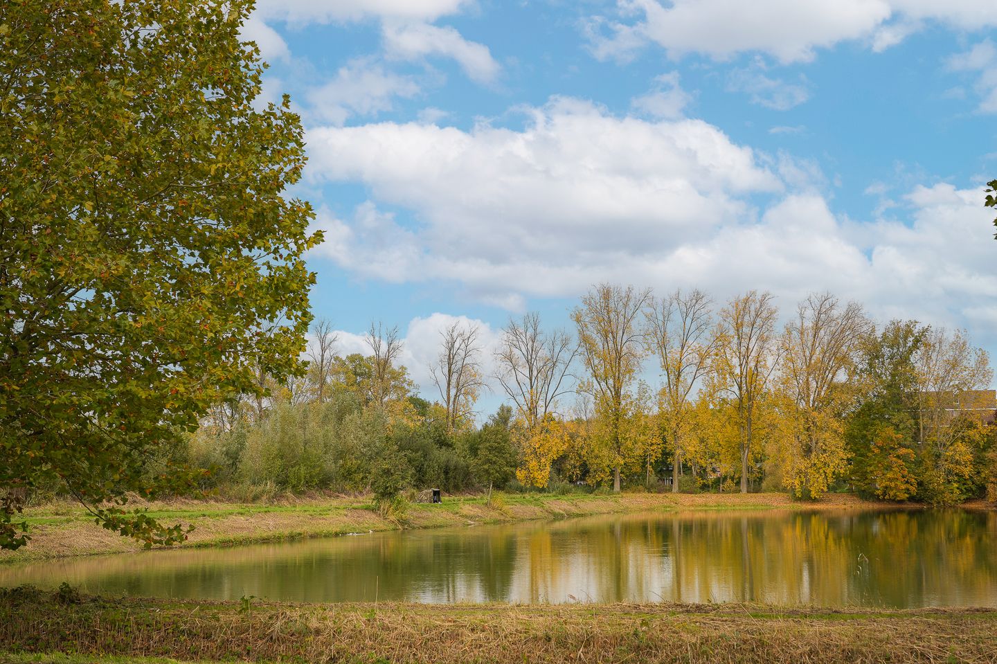 Foto 59 van Van Heemstraweg 62