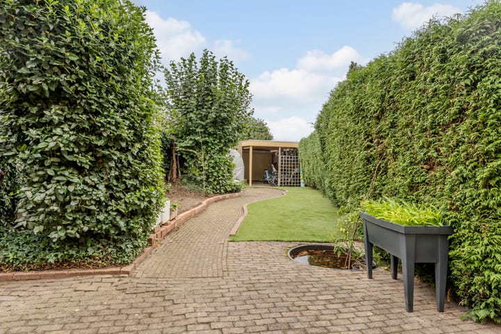 Foto 3 van Meidoorn 96