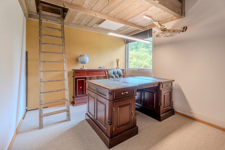 Foto 15 van Meidoorn 96