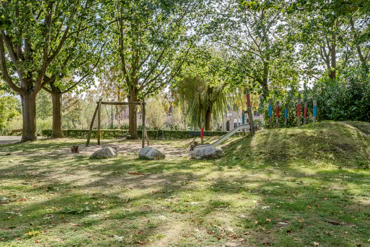 Foto 30 van Meidoorn 96