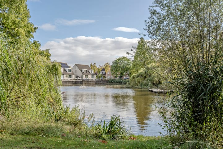 Foto 31 van Meidoorn 96