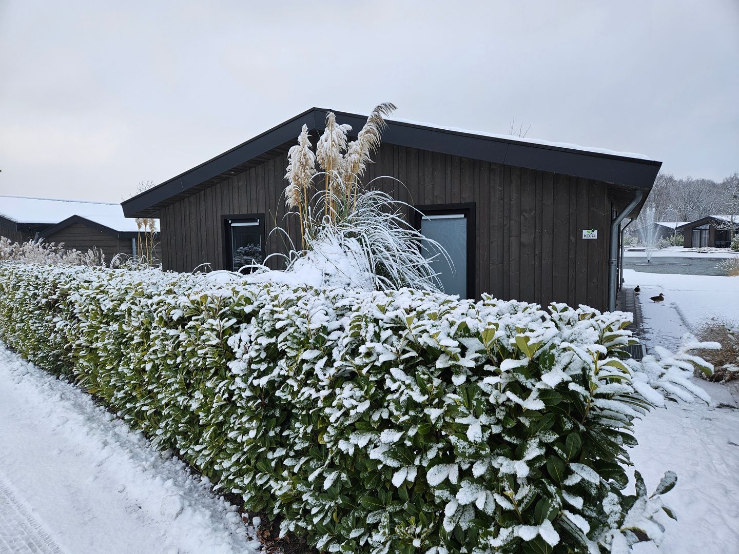 Foto 4 van Banstraat 25-C74