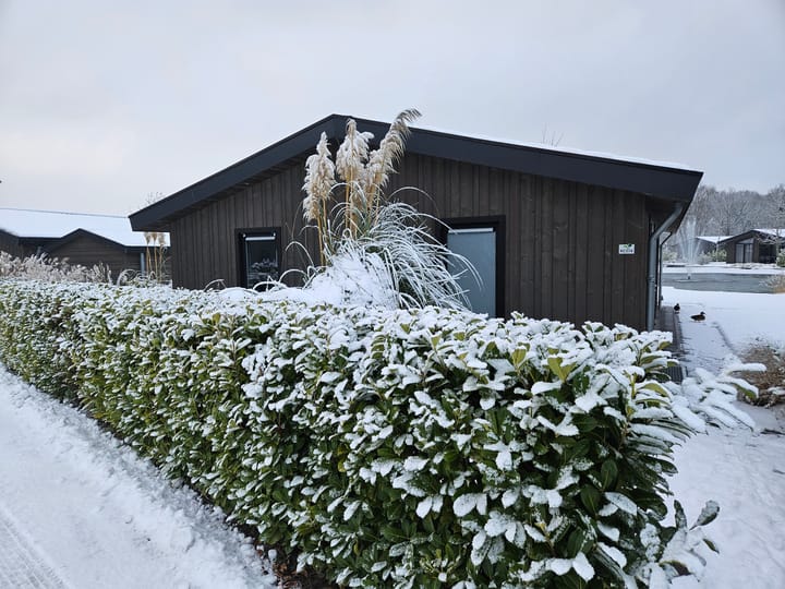 Foto 4 van Banstraat 25-C74