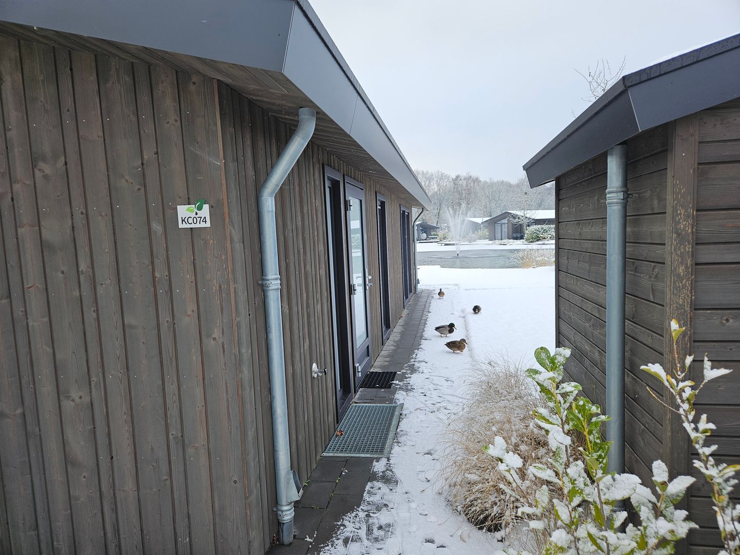 Foto 5 van Banstraat 25-C74