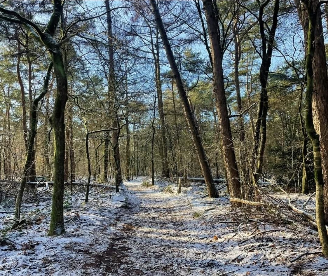 Foto 19 van Banstraat 25-C74