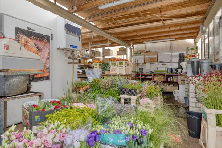 Foto 14 van Herestraat 27