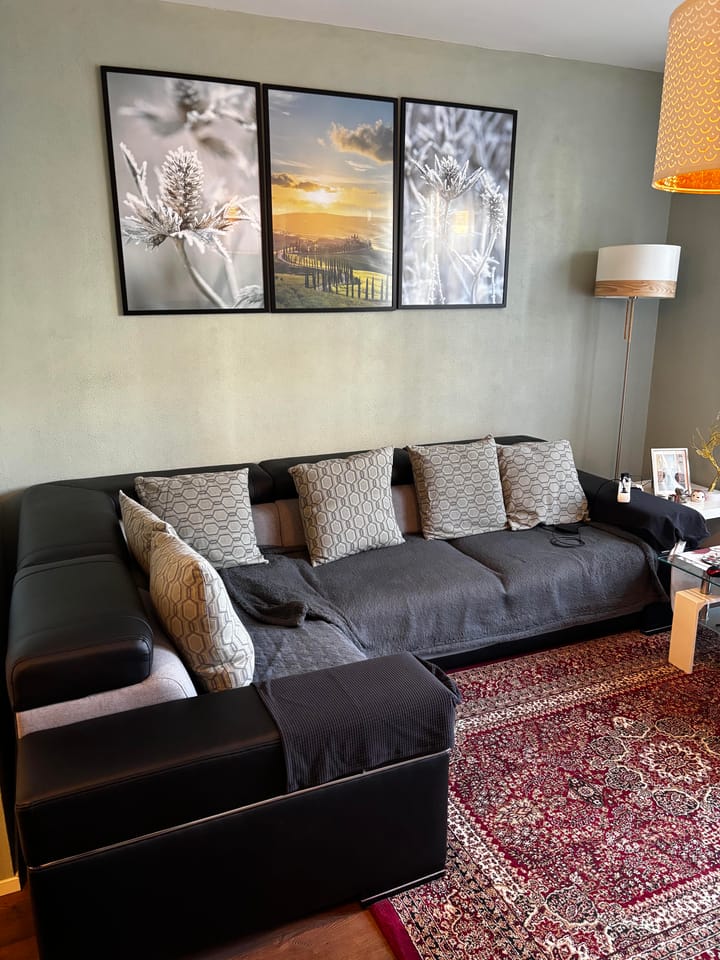 Foto 7 van Anubisplantsoen 2