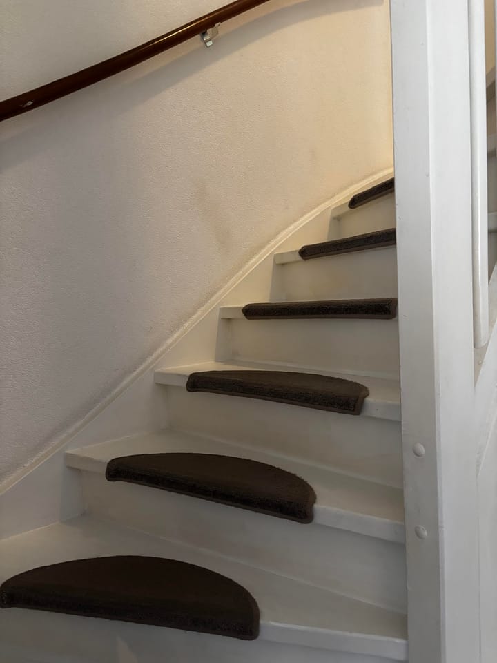 Foto 8 van Anubisplantsoen 2