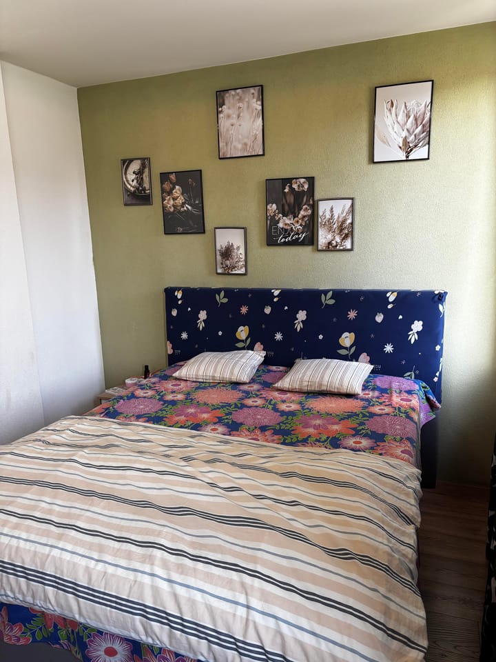 Foto 9 van Anubisplantsoen 2