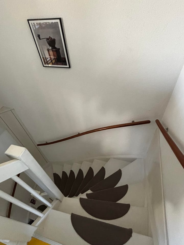 Foto 17 van Anubisplantsoen 2