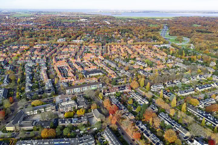 Foto 61 van Irisstraat 11