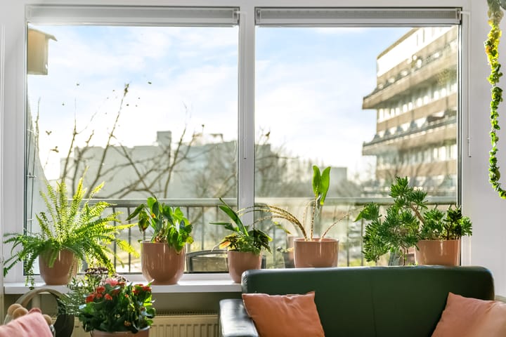 Foto 8 van Olivierplaats 47