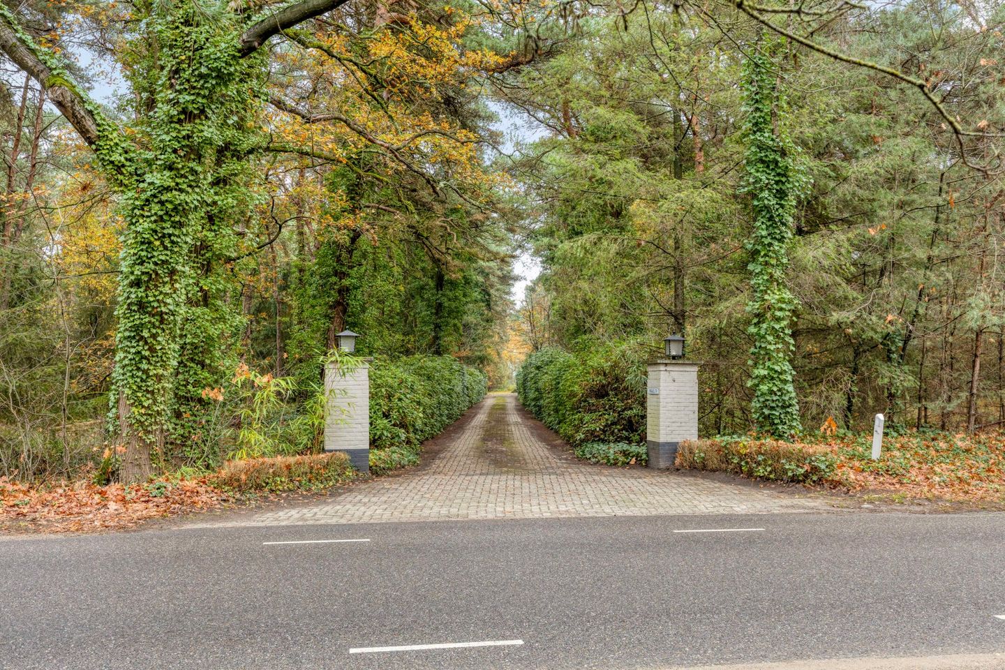 Foto 5 van Maaij 9