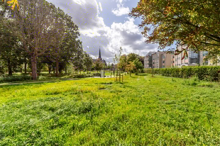 Photo 33 of Van Nispenpark 7