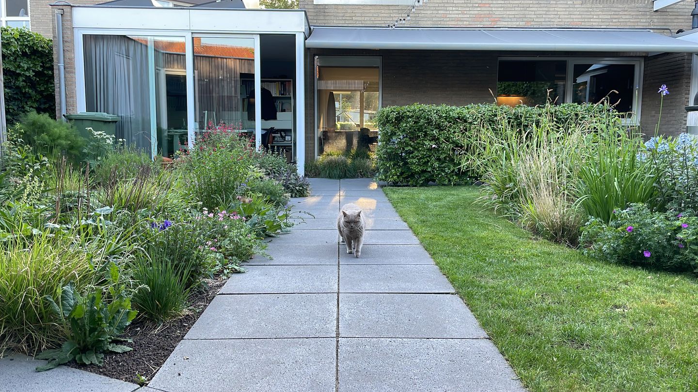 Foto 55 van Hoogeindseweg 50