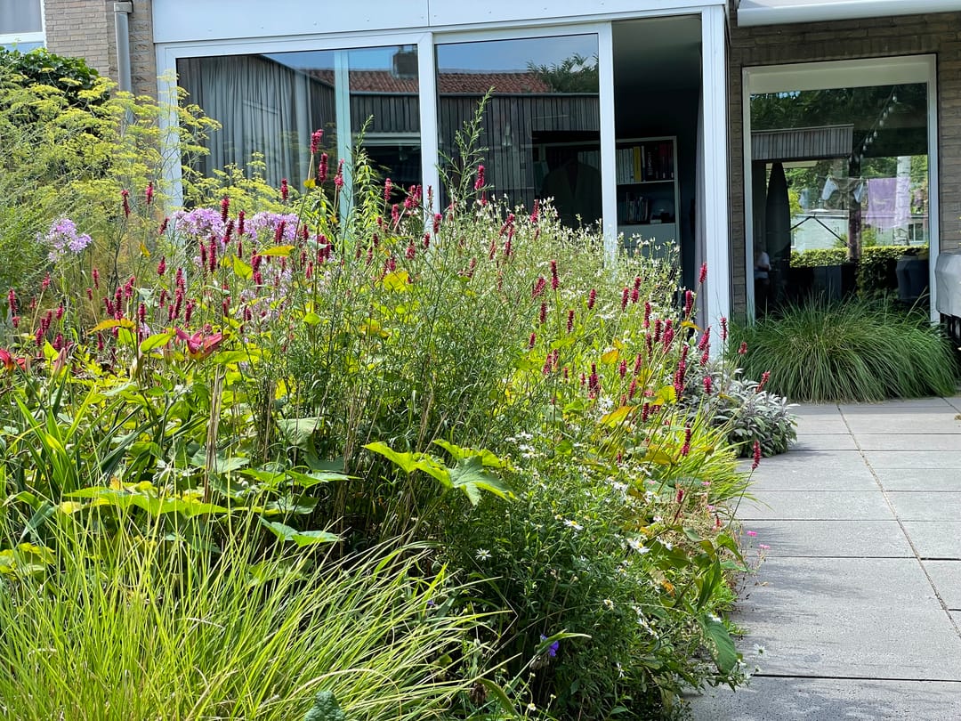 Foto 56 van Hoogeindseweg 50