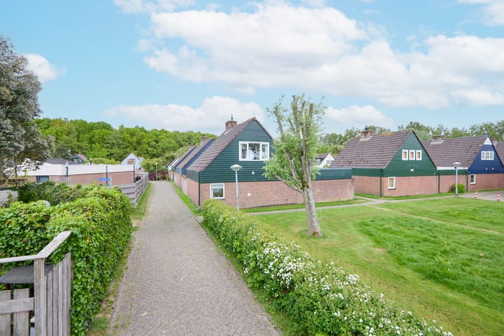 Foto 4 van Duinschooten 12-034