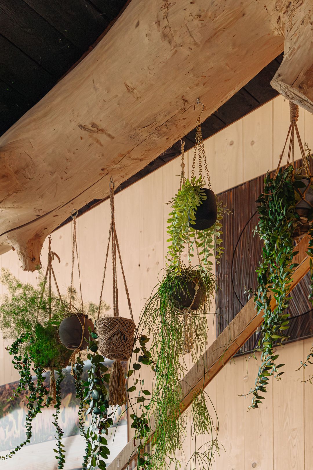 Foto 17 van Edmond Halleylaan 46