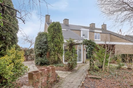 undefined main image