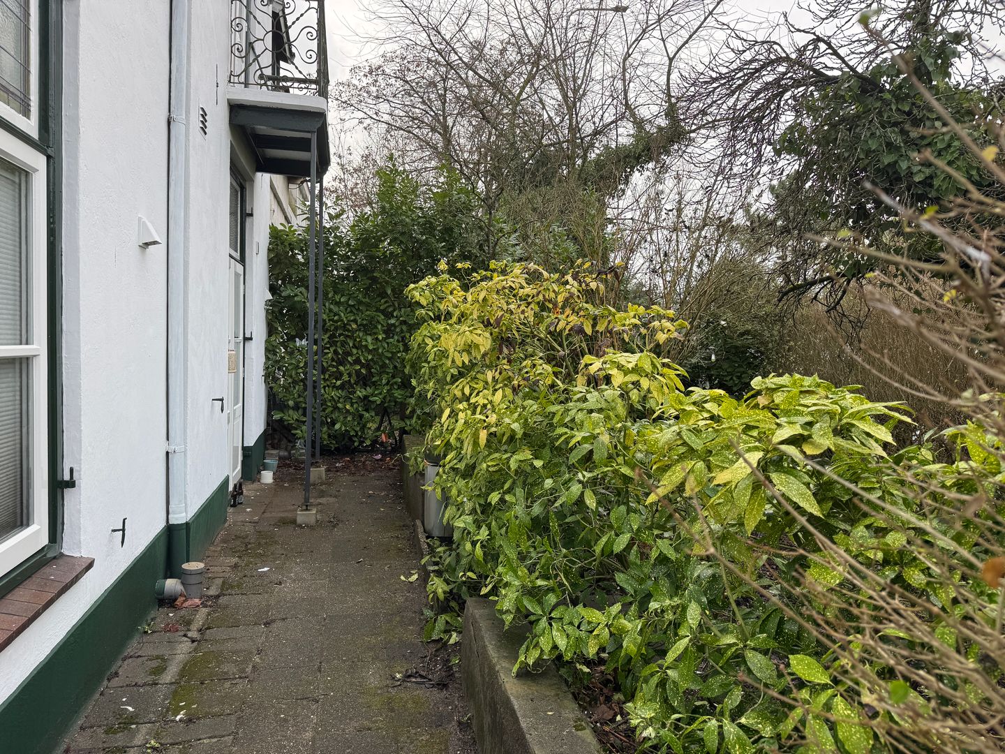 Bekijk foto 3 van Graafseweg 167