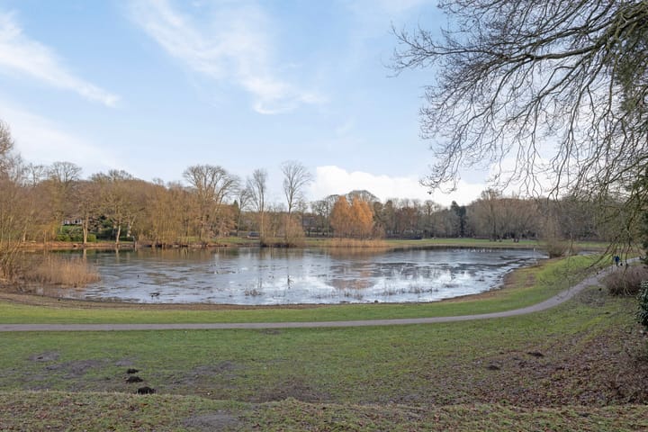 Foto 39 van Longoliusstraat 4