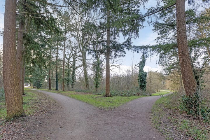 Foto 40 van Longoliusstraat 4