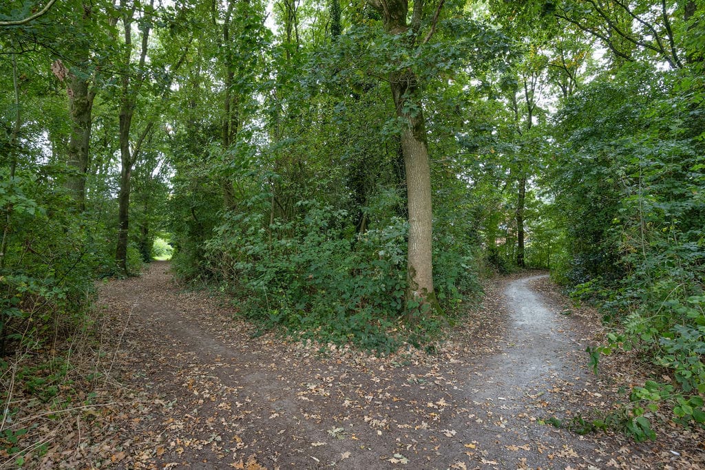 Foto 33 van 't Leantsje 100