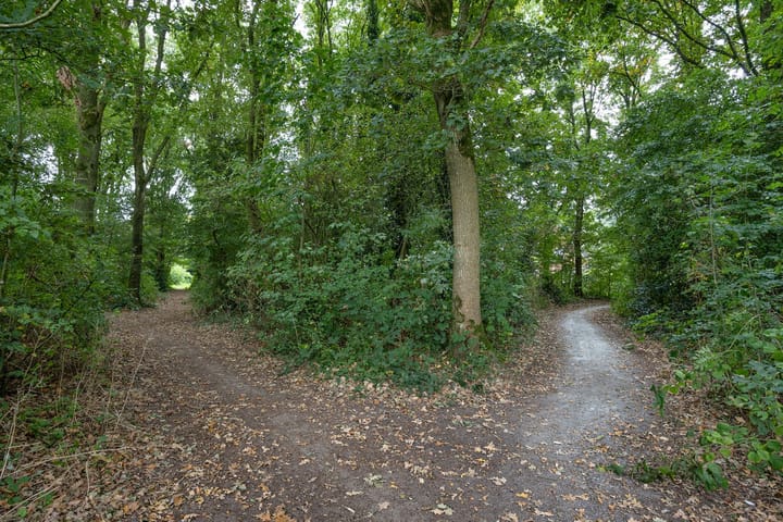 Foto 31 van 't Leantsje 100