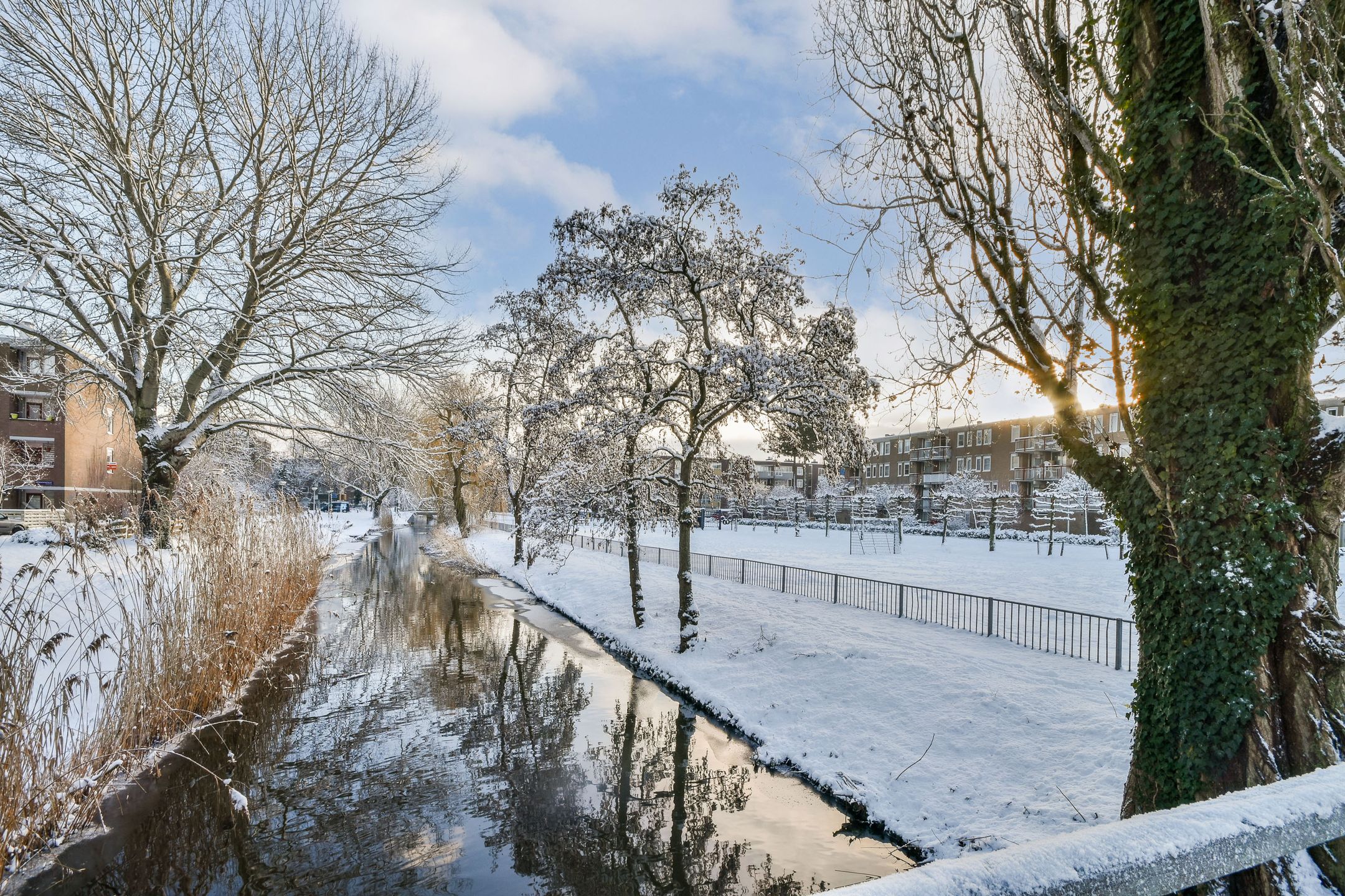 Foto 21 van Werkhovenstraat 64