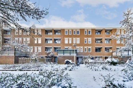 Werkhovenstraat thumbnail