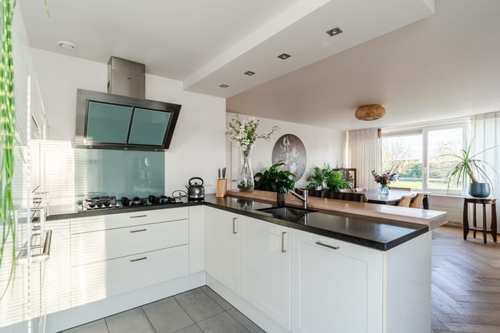 Foto 3 van Dijkgraaf 111