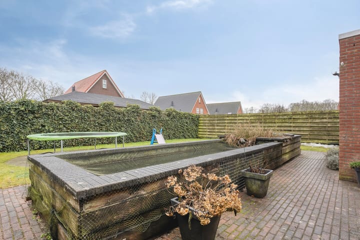 Foto 34 van Koelgoorn 23