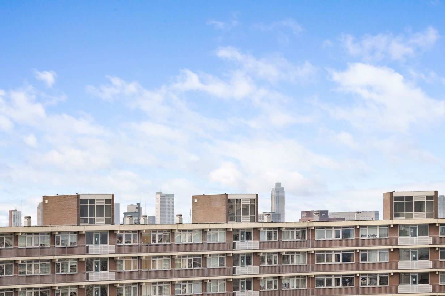 Foto 55 van Ketensezoom 101