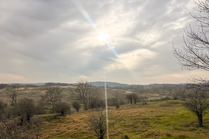 Foto 37 van Balistraat 1