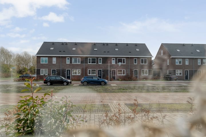 Foto 11 van Roggeveld 25