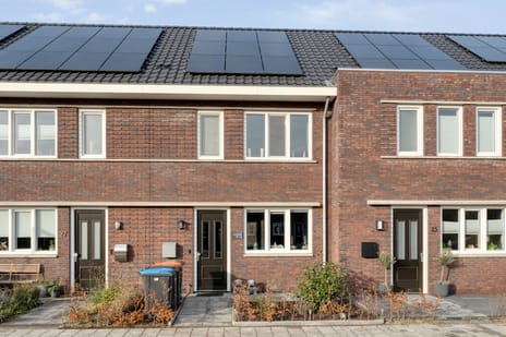 undefined main image