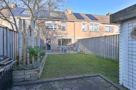 Slechtvalk thumbnail