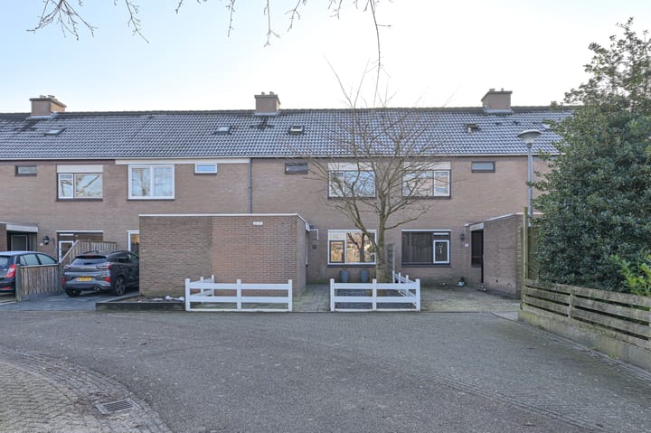 Foto 4 van Slechtvalk 64