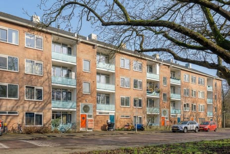 Alkmaarstraat thumbnail