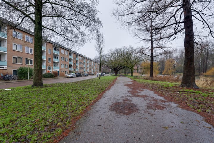 Photo 45 of Alkmaarstraat 303