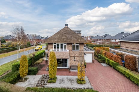 Valeriaan 29 tertiary image