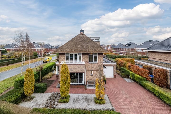 Photo 3 of Valeriaan 29