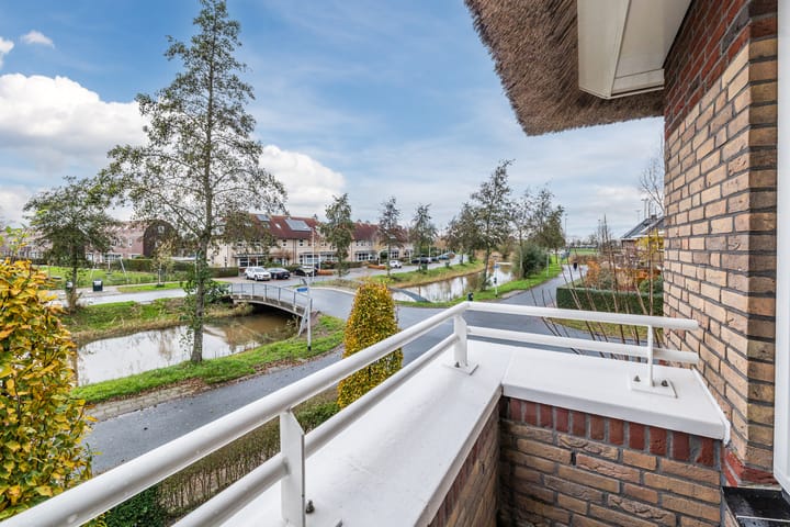 Foto 26 van Valeriaan 29