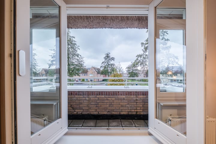 Foto 25 van Valeriaan 29