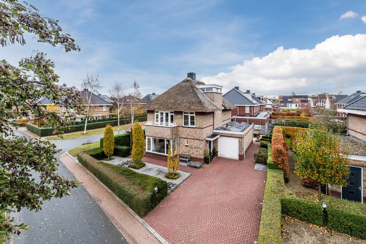 Photo 2 of Valeriaan 29