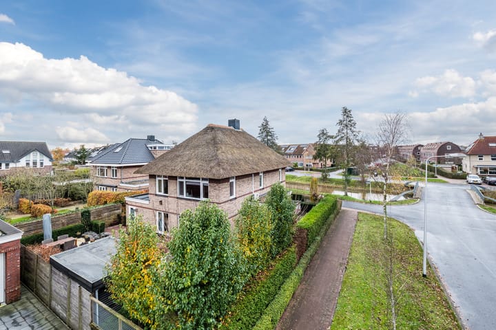 Foto 45 van Valeriaan 29