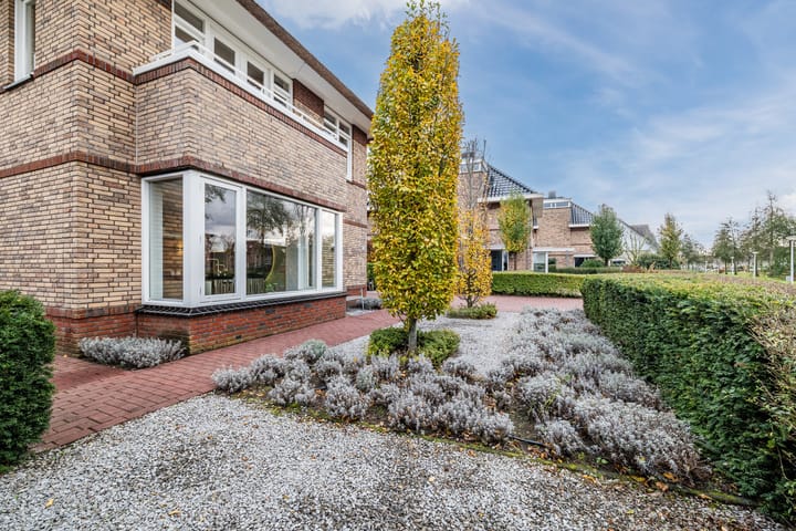 Foto 39 van Valeriaan 29