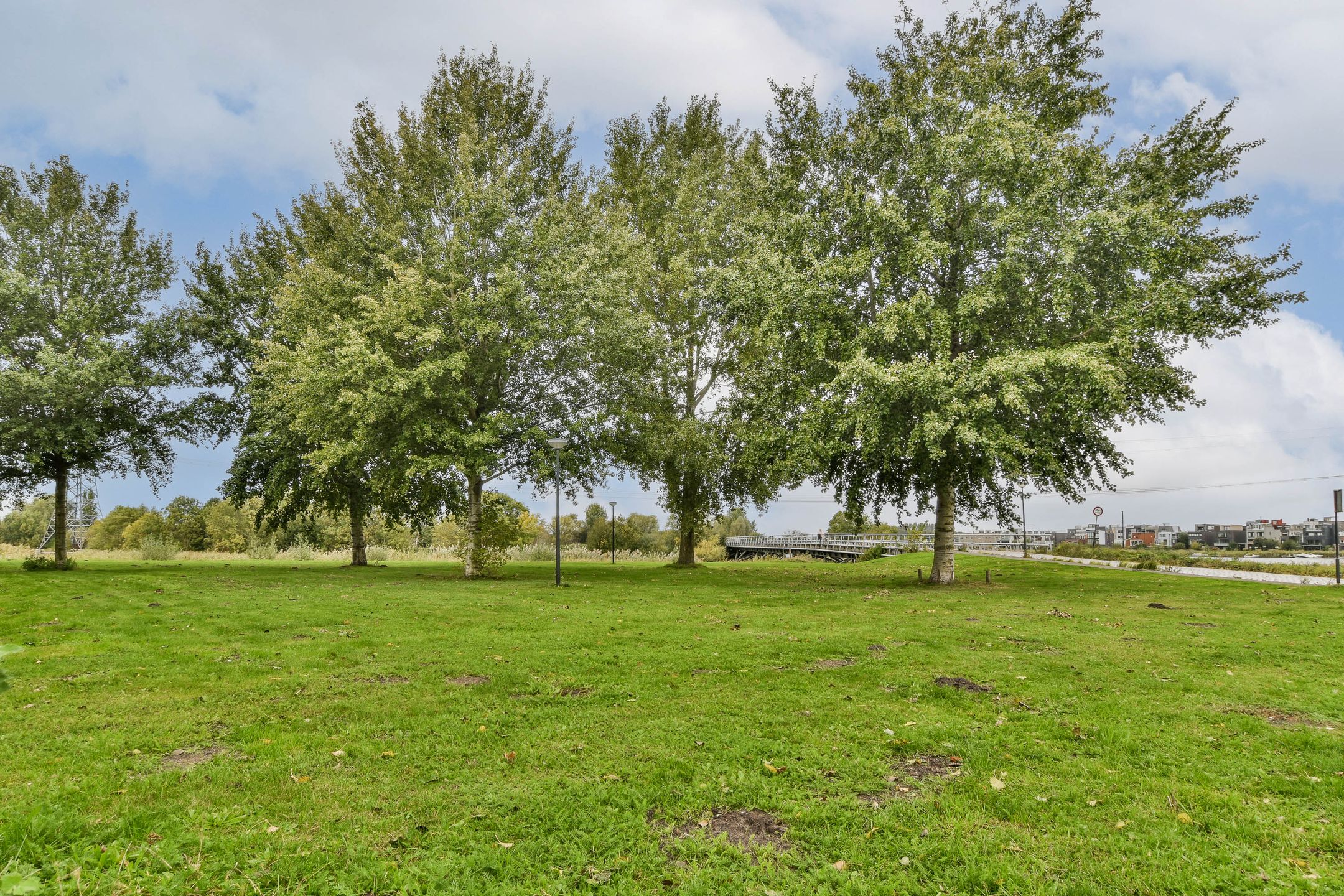 Foto 3 van Oeverzeggestraat