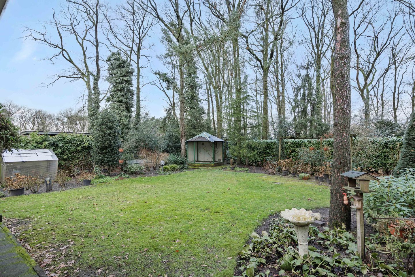 Foto 29 van Rodegraafweg 11