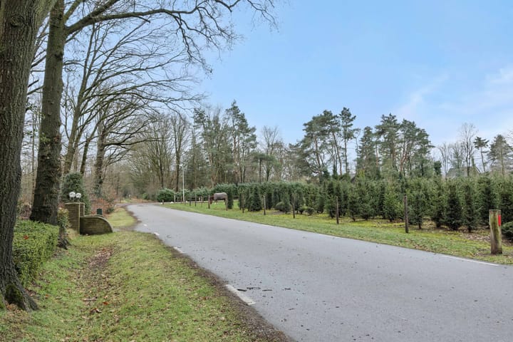 Foto 43 van Rodegraafweg 11